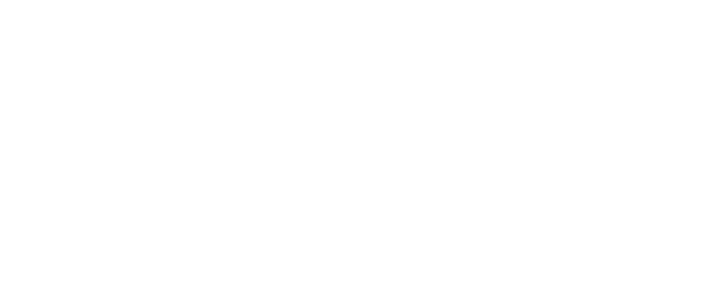 VulcanX